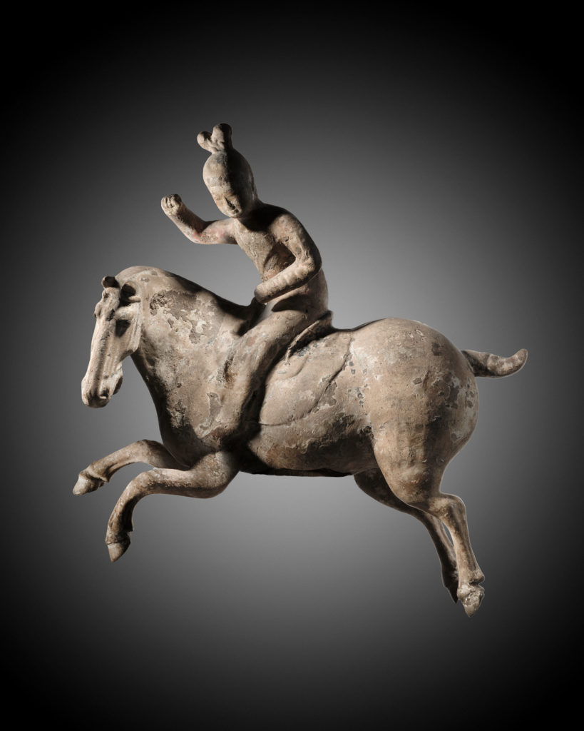 POLO PLAYER